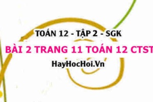 Bài 2 trang 11 Toán 12 tập 2 Chân trời sáng tạo